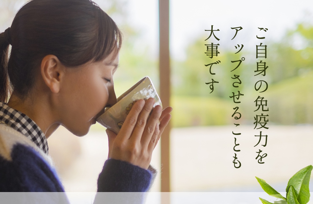 Teezeremonie-Szene | Matcha und japanische Süßigkeiten genießen